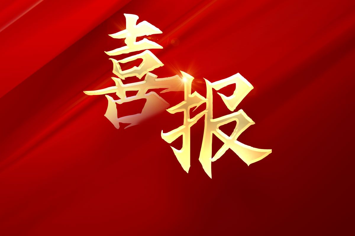 森赫電梯連續(xù)8年榮膺“全國政府采購電梯十佳供應(yīng)商”
