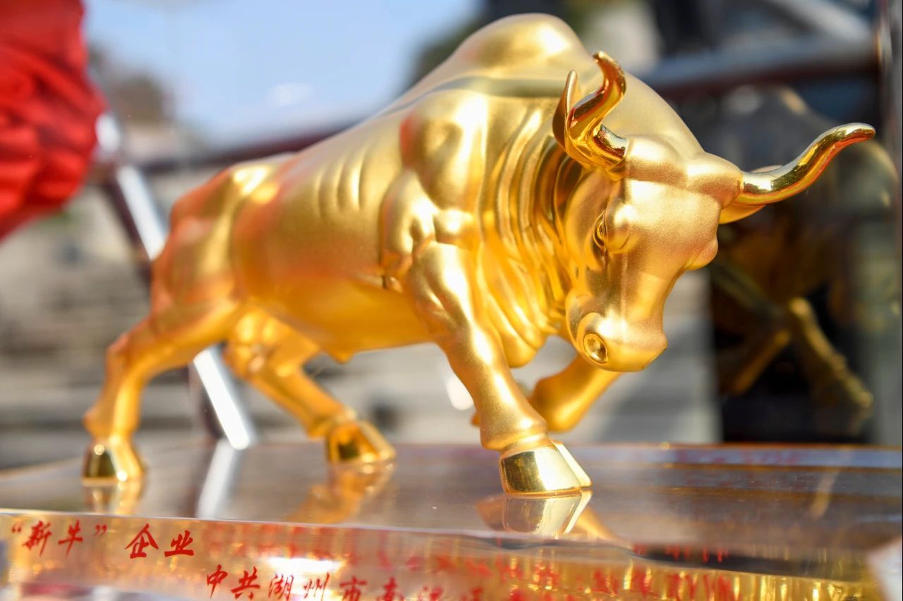 賡續(xù)初心 奮楫新程|森赫電梯連續(xù)九年捧回“金牛大獎”